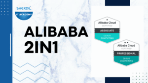 Alibaba 2 in 1 Course Outline